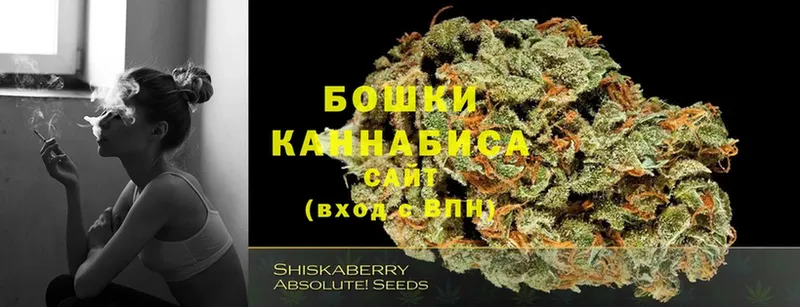 Шишки марихуана план  KRAKEN ССЫЛКА  Гагарин  магазин продажи наркотиков 